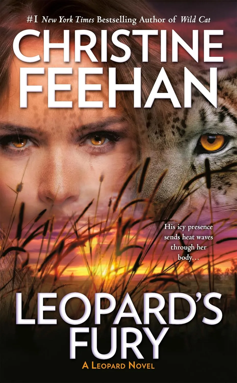 Leopard's Fury (A Leopard Novel) Mass Market Paperback  November 8, 2016